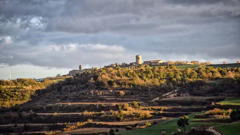 12.3.2017 Paisatge  L'Ametlla de Segarra -  Ramon Sunyer