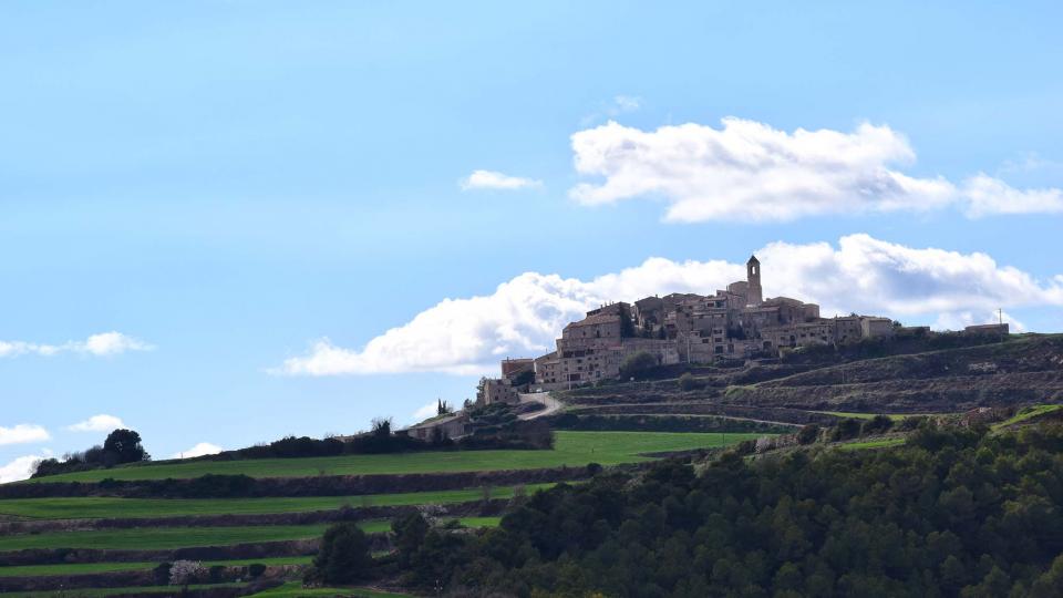 12.3.2017 Paisatge  Forès -  Ramon Sunyer