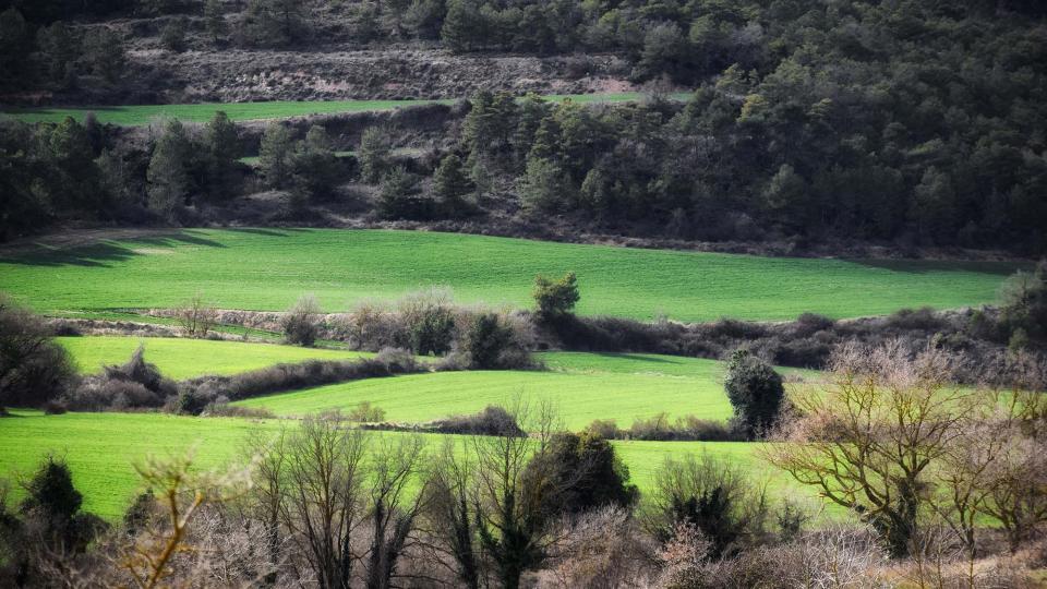 12 de Març de 2017 Paisatge  -  Ramon Sunyer