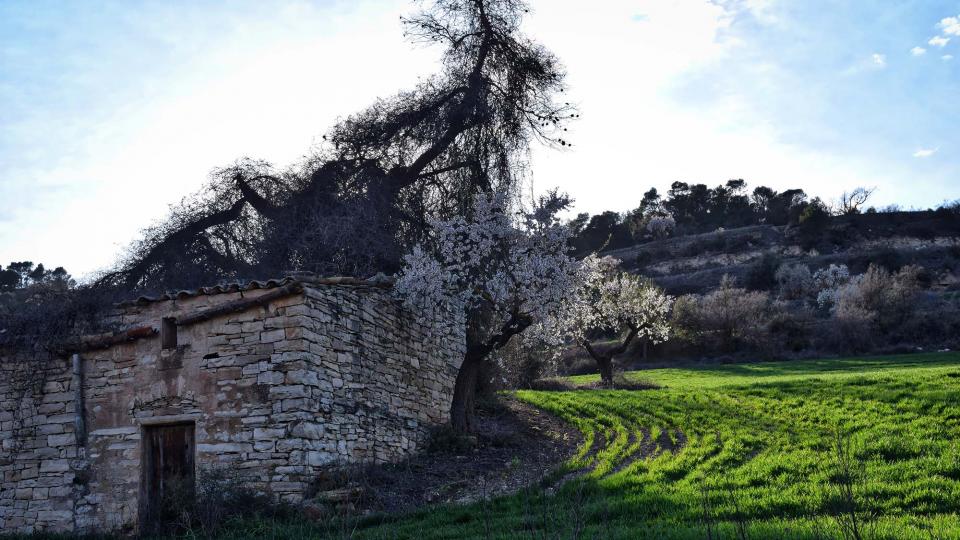 12.3.2017 Paisatge  Vallfogona de Riucorb -  Ramon Sunyer