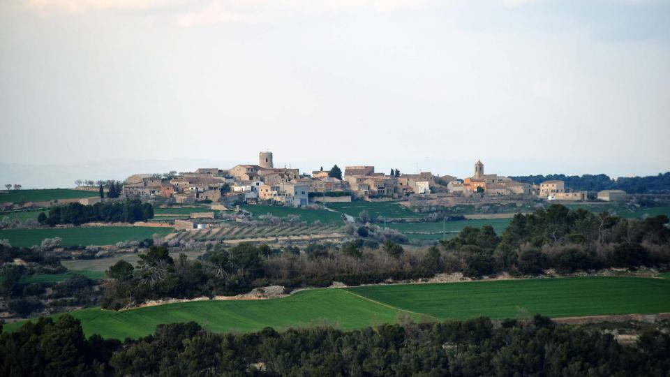 12 de Març de 2017 Paisatge  L'Ametlla de Segarra -  Ramon Sunyer