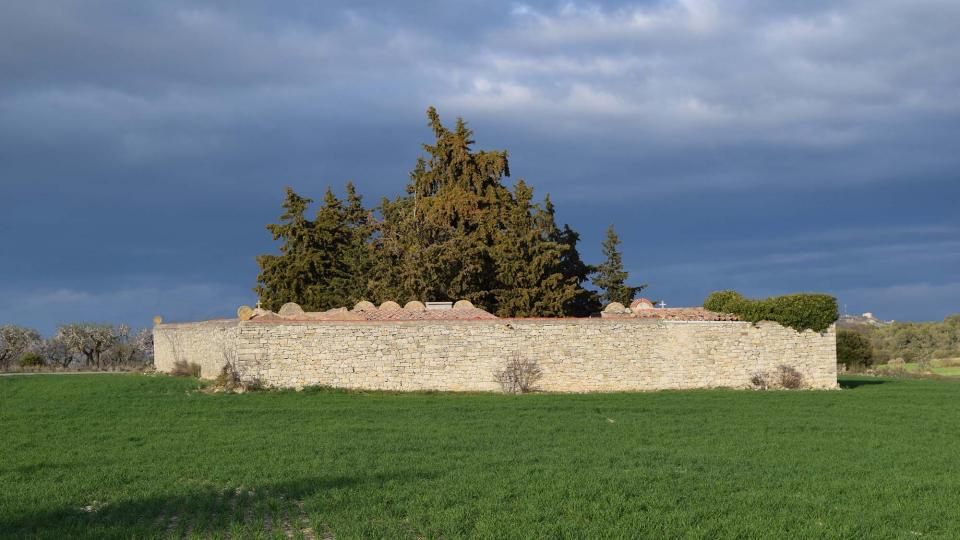 12 de Març de 2017 Paisatge  L'Ametlla de Segarra -  Ramon Sunyer