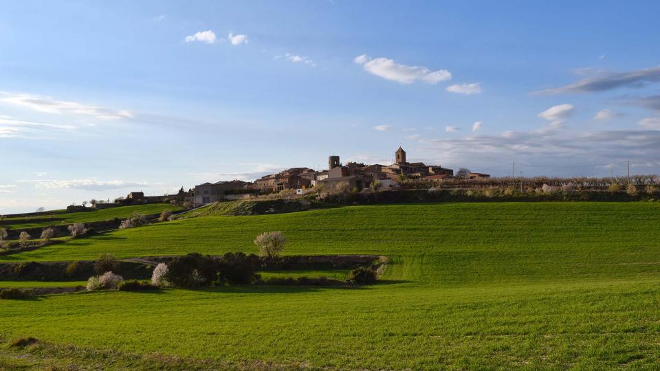 12.3.2017 Paisatge  L'Ametlla de Segarra -  Ramon Sunyer