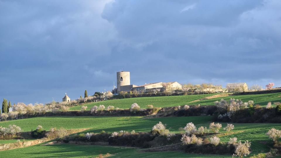 12 de Març de 2017 Paisatge  L'Ametlla de Segarra -  Ramon Sunyer