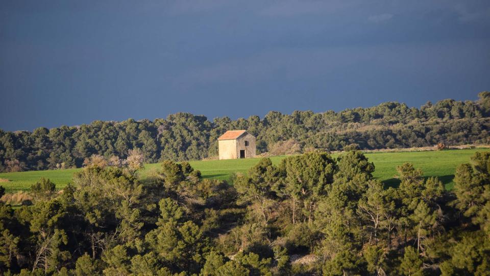 12 de Març de 2017 Paisatge  L'Ametlla de Segarra -  Ramon Sunyer