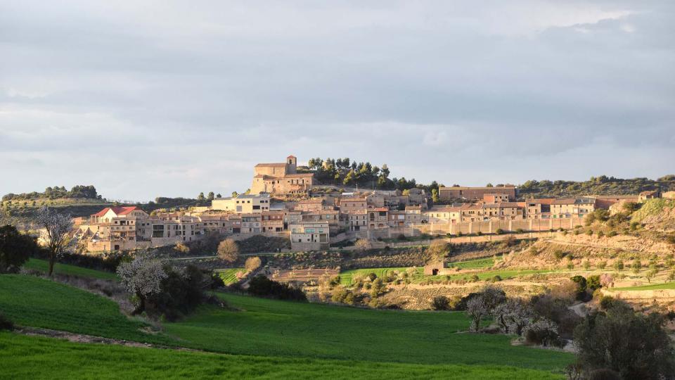 12 de Març de 2017 Paisatge  Montornès de Segarra -  Ramon Sunyer