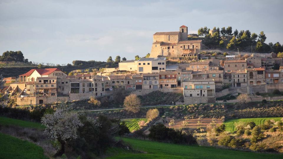 12.3.2017 Paisatge  Montornès de Segarra -  Ramon Sunyer