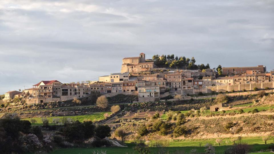 12 de Març de 2017 Paisatge  Montornès de Segarra -  Ramon Sunyer