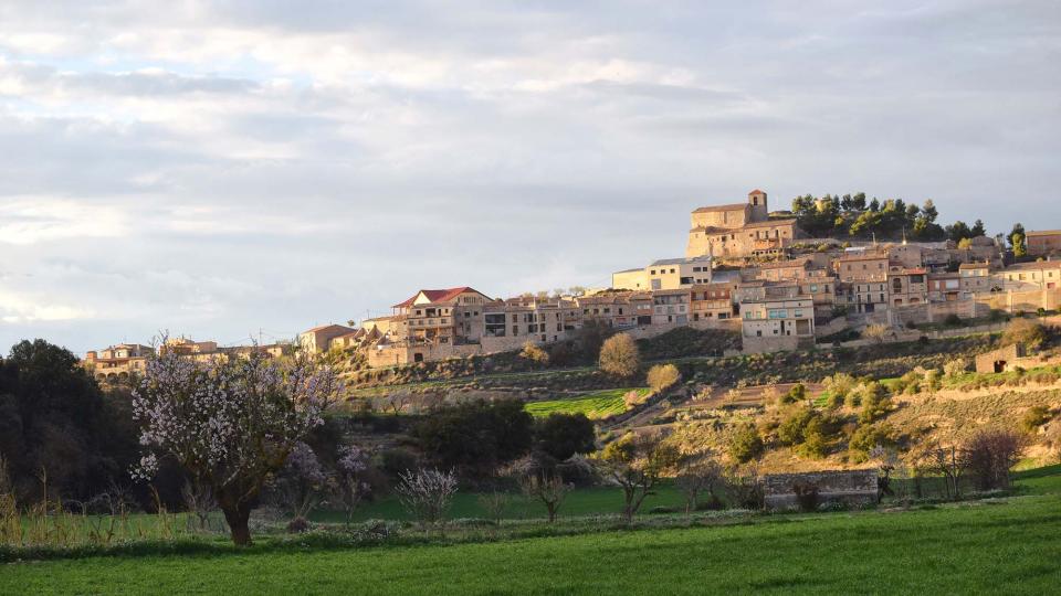 12.3.2017 Paisatge  Montornès de Segarra -  Ramon Sunyer