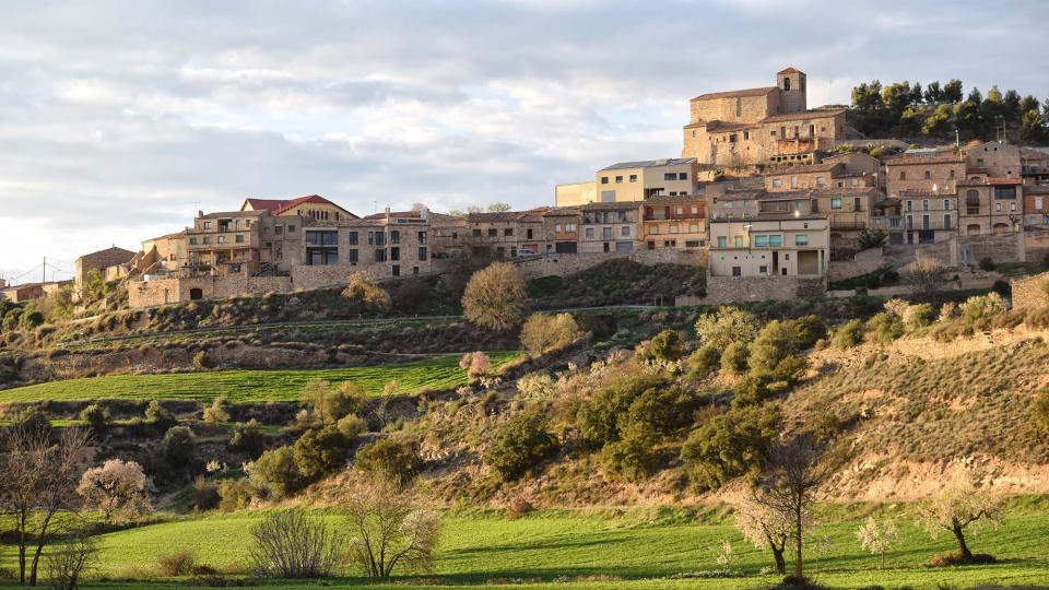 12.3.2017 Paisatge  Montornès de Segarra -  Ramon Sunyer