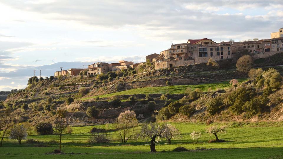 12.3.2017 Paisatge  Montornès de Segarra -  Ramon Sunyer