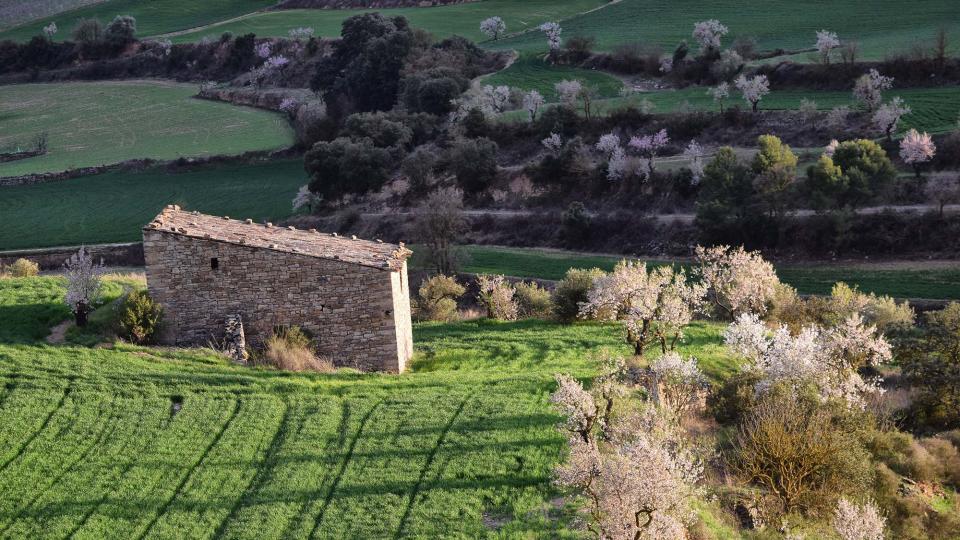 12 de Març de 2017 Paisatge  Montornès de Segarra -  Ramon Sunyer