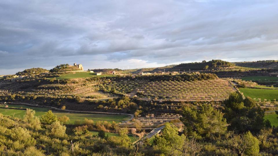 12.3.2017 Paisatge  Montornès de Segarra -  Ramon Sunyer