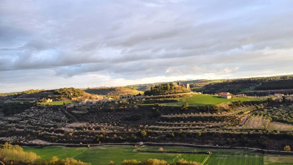 12 de Març de 2017 Paisatge  Montornès de Segarra -  Ramon Sunyer