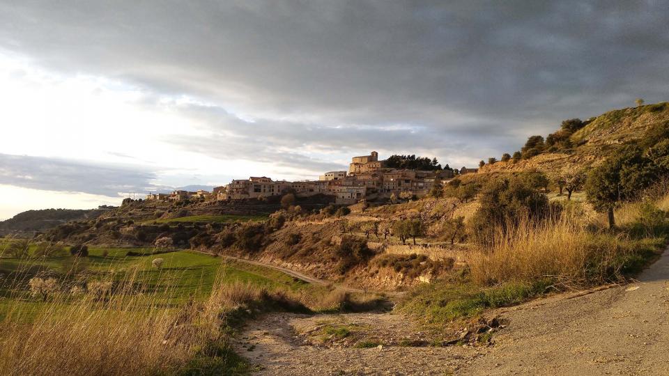 12 de Març de 2017 Paisatge  Montornès de Segarra -  Ramon Sunyer