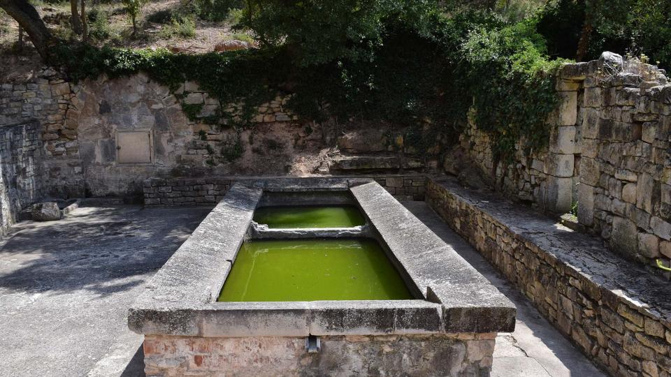 16.7.2017 Àrea de lleure la Font Voltada  Passanant -  Ramon Sunyer