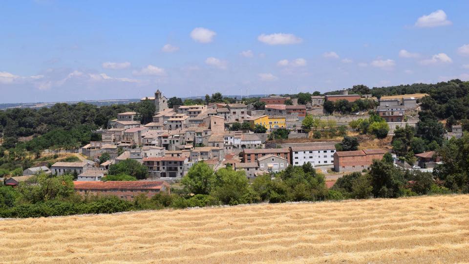 9.7.2017   Freixenet de Segarra -  Ramon Sunyer