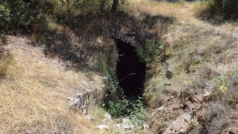 9.7.2017 font de sant Salvador  Altadill -  Ramon Sunyer