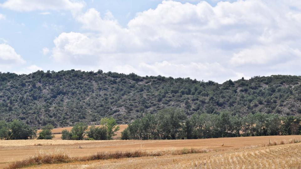 9 de Juliol de 2017 Paisatge  Torà -  Ramon Sunyer