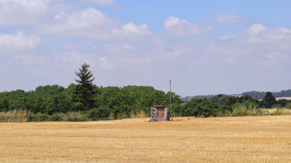 9.7.2017 Paisatge  Sant Guim de la Rabassa -  Ramon Sunyer