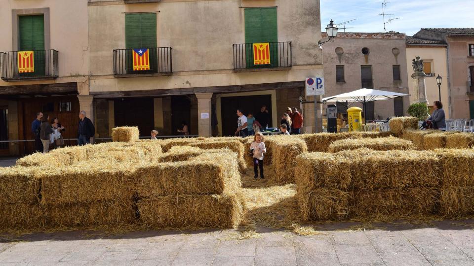 23 de Octubre de 2016 1a Vila del Llibre  Cervera -  Ramon Sunyer