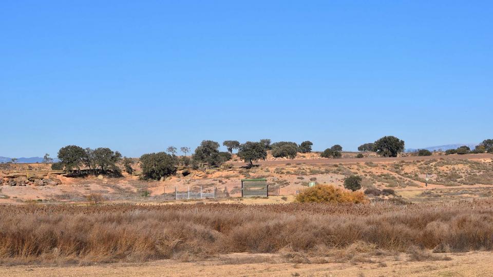 26 de Novembre de 2017 Aiguamolls de la Serra de Queralt  Sisterò -  Ramon Sunyer