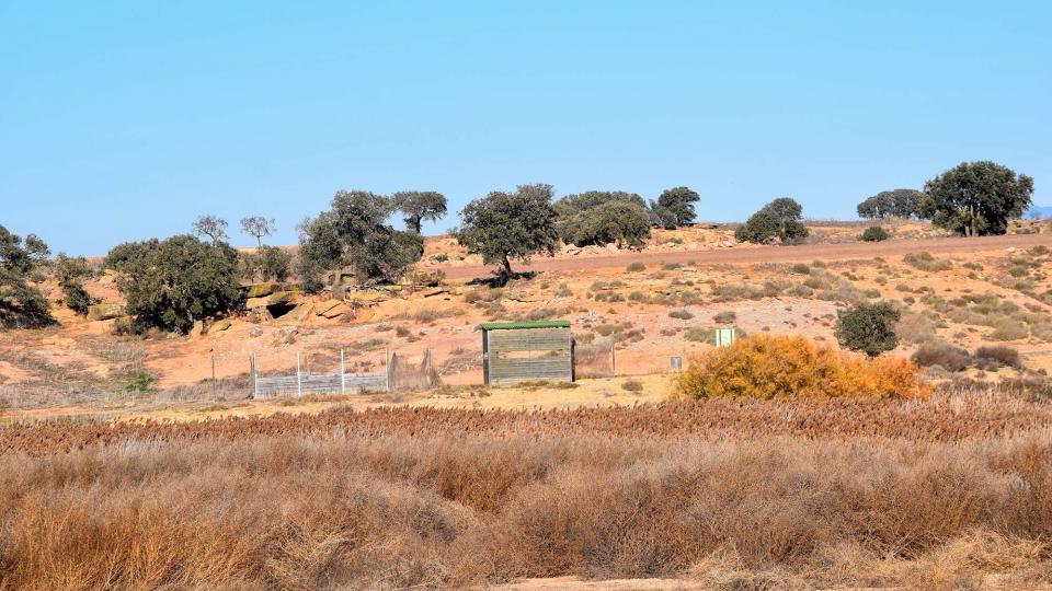 26.11.2017 Aiguamolls de la Serra de Queralt  Sisterò -  Ramon Sunyer