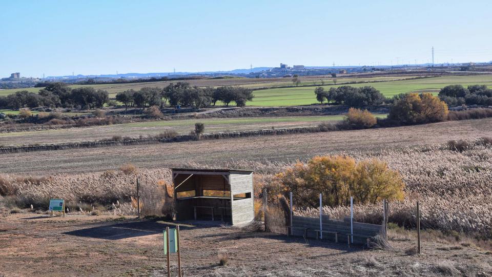 26 de Novembre de 2017 Aiguamolls de la Serra de Queralt  Sisterò -  Ramon Sunyer