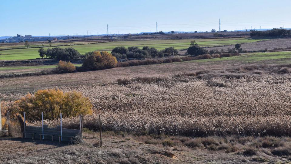 26 de Novembre de 2017 Aiguamolls de la Serra de Queralt  Sisterò -  Ramon Sunyer