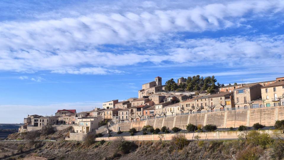 3.12.2017 vista  Montornès de Segarra -  Ramon Sunyer