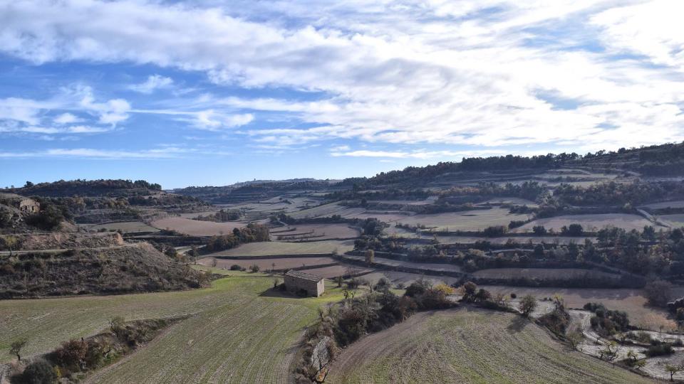 3.12.2017 paisatge  Montornès de Segarra -  Ramon Sunyer