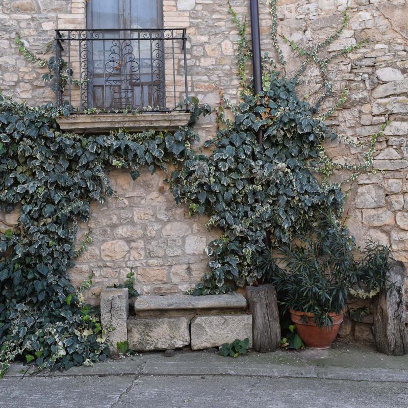 3.12.2017 Carrer  Montornès de Segarra -  Ramon Sunyer