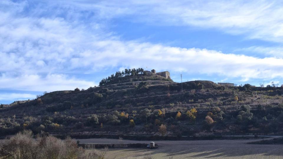 3.12.2017 Vista sud  Montornès de Segarra -  Ramon Sunyer