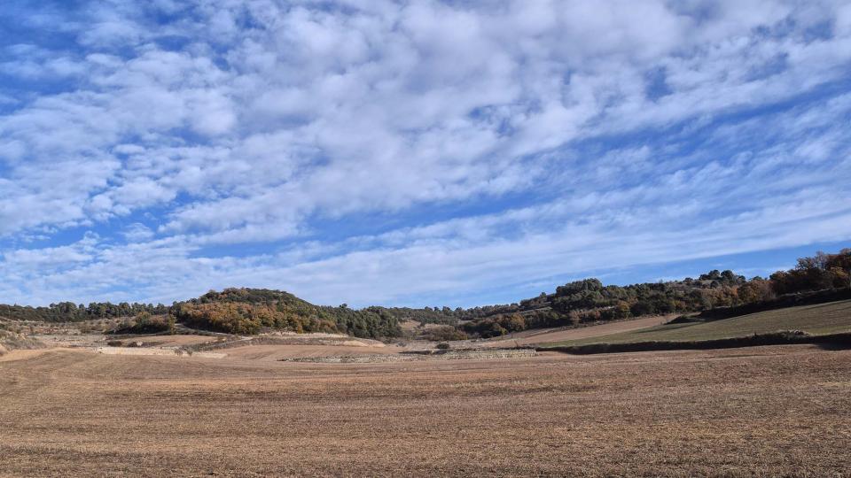 3 de Desembre de 2017 Paisatge  Montornès de Segarra -  Ramon Sunyer