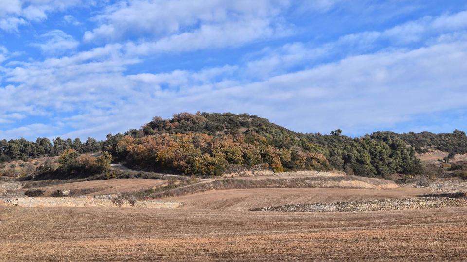 3 de Desembre de 2017 Paisatge  Montornès de Segarra -  Ramon Sunyer