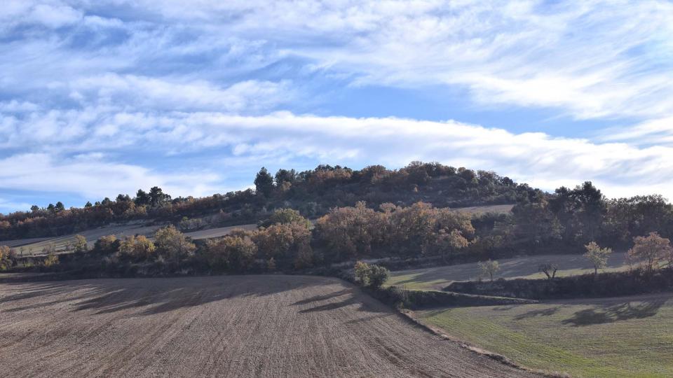 3 de Desembre de 2017 Paisatge  Montornès de Segarra -  Ramon Sunyer