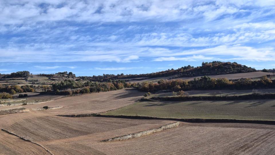 3 de Desembre de 2017 Paisatge  Montornès de Segarra -  Ramon Sunyer