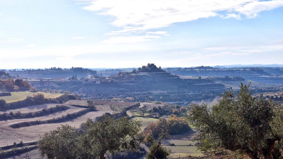 3 de Desembre de 2017 Paisatge  Montornès de Segarra -  Ramon Sunyer