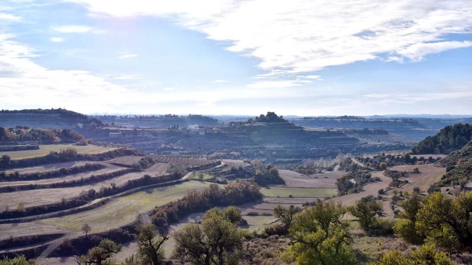 3 de Desembre de 2017 Paisatge  Montornès de Segarra -  Ramon Sunyer