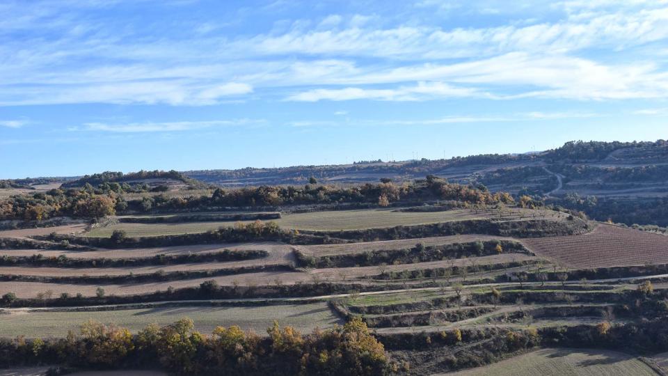 3 de Desembre de 2017 Paisatge  Montornès de Segarra -  Ramon Sunyer