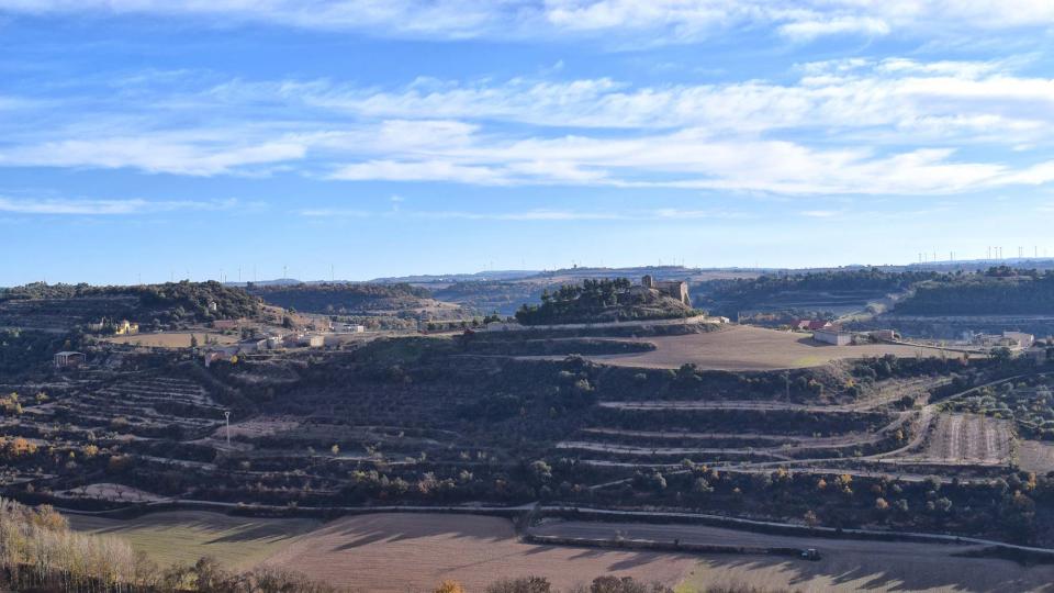 3.12.2017 vista  Montornès de Segarra -  Ramon Sunyer