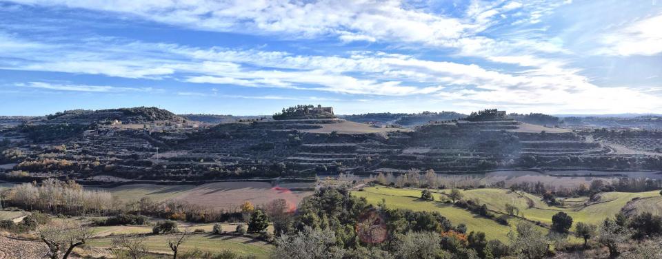 3.12.2017 panoràmica  Montornès de Segarra -  Ramon Sunyer