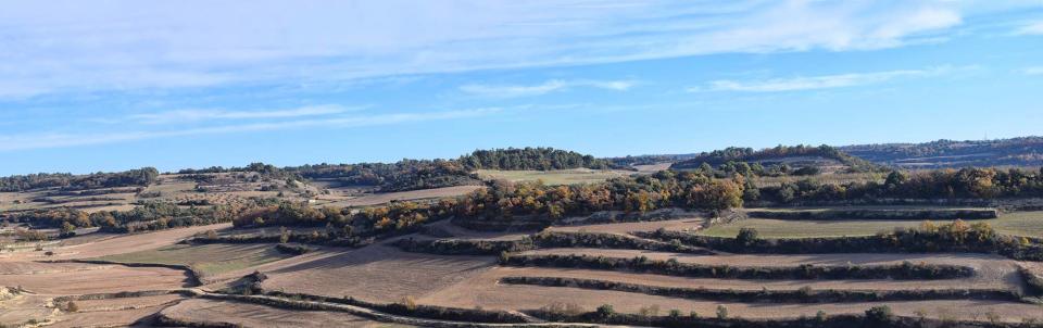 3.12.2017 paisatge dels Comalats  Montornès de Segarra -  Ramon Sunyer