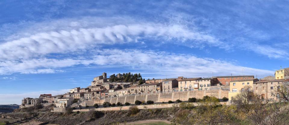 3.12.2017 panoràmica  Montornès de Segarra -  Ramon Sunyer