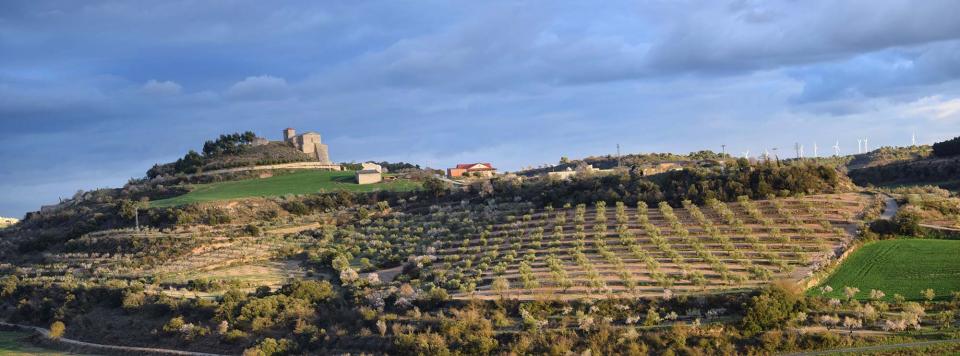 12.3.2017 vista sud  Montornès de Segarra -  Ramon Sunyer