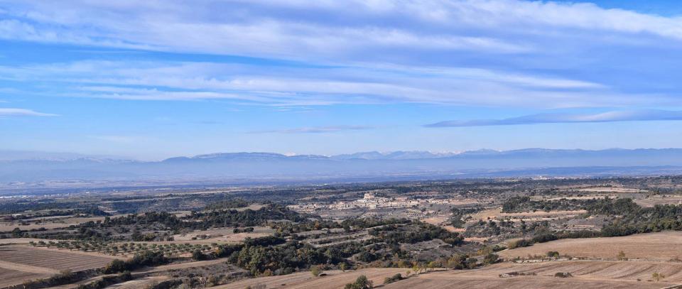 3 de Desembre de 2017 Paisatge  Montornès de Segarra -  Ramon Sunyer