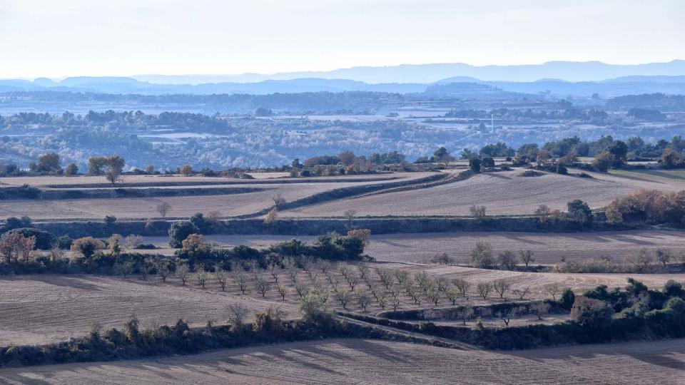 3.12.2017 Paisatge  L'Ametlla de Segarra -  Ramon Sunyer