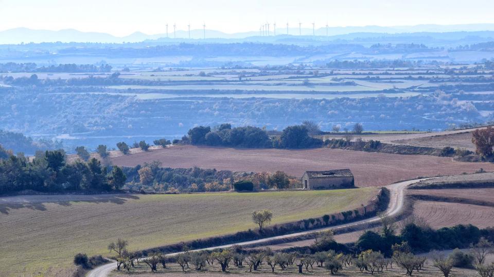 3.12.2017 Paisatge  L'Ametlla de Segarra -  Ramon Sunyer