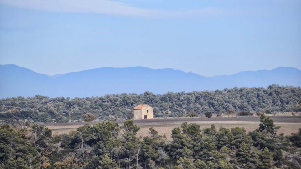 3.12.2017 Paisatge  L'Ametlla de Segarra -  Ramon Sunyer