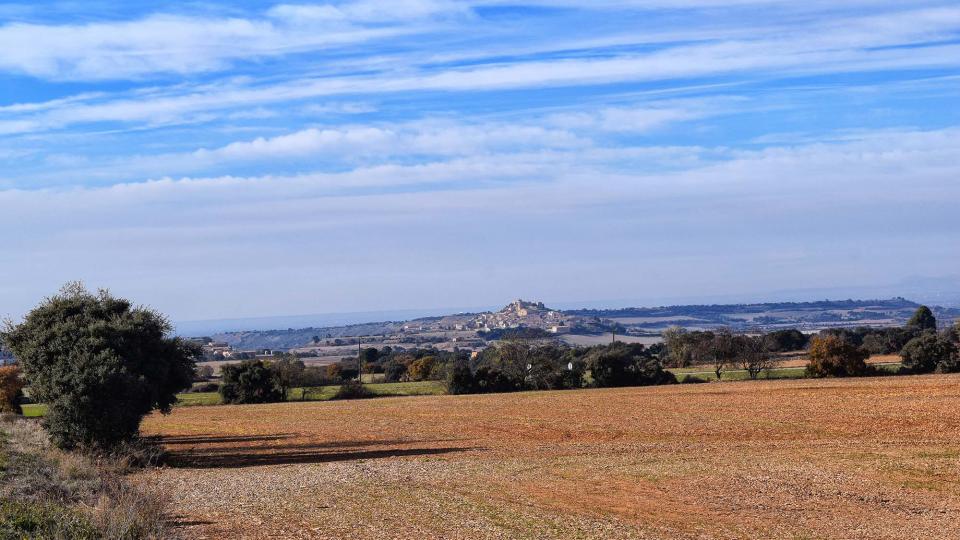 3.12.2017 paisatge  Granyena de Segarra -  Ramon Sunyer